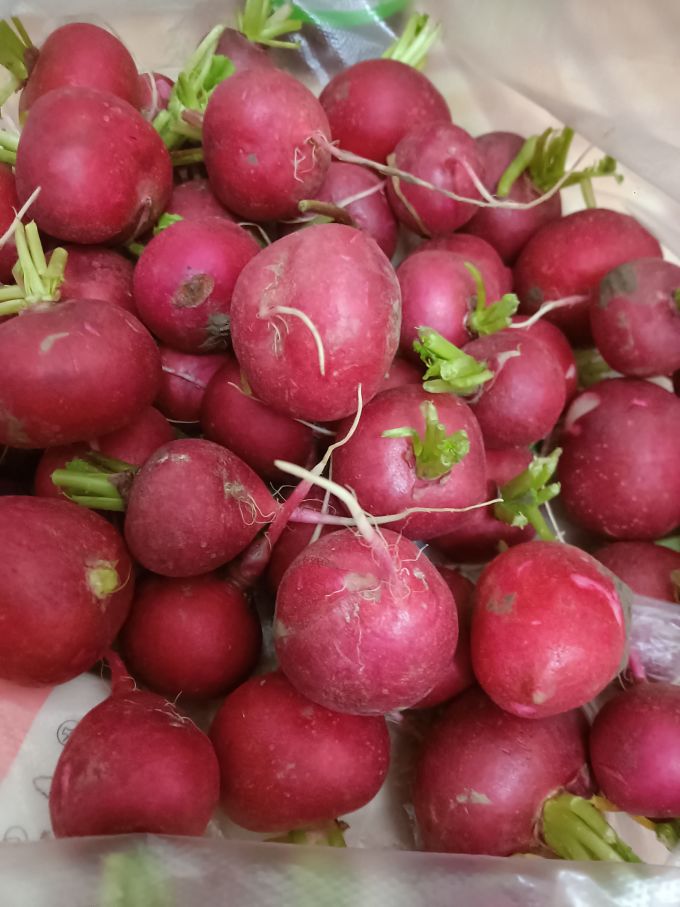 绿食者蔬菜