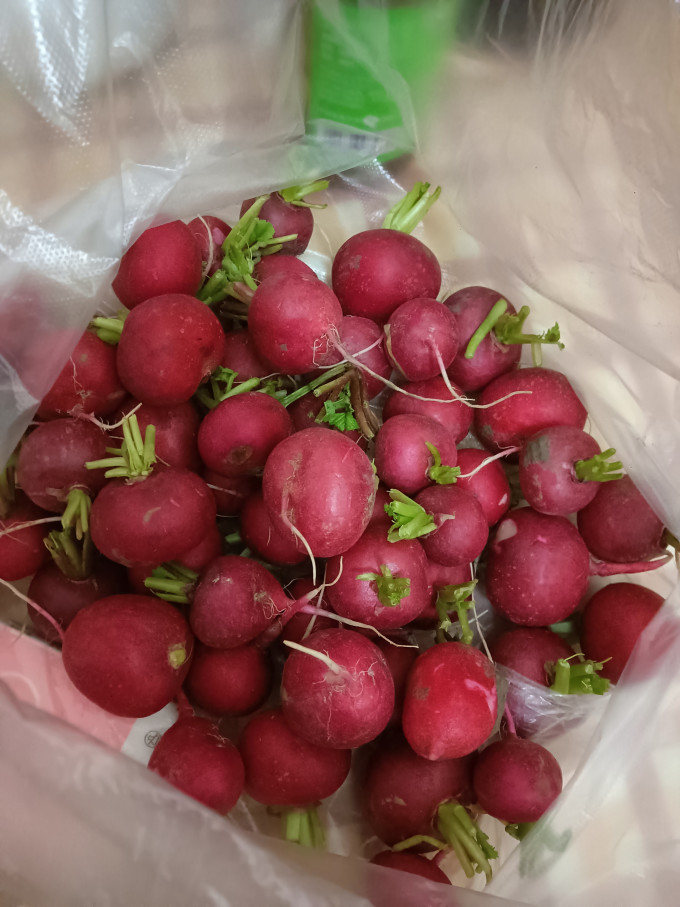 绿食者蔬菜
