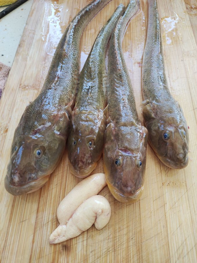 孕妇点菜9以前没人吃的鱼现在抢着买