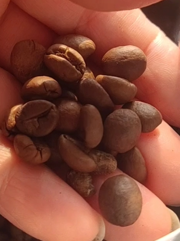 自己制作一杯浓香的咖啡~省钱💰