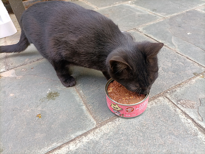 顽皮宠物肉质零食