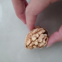 营养健康下番闲聊的好东西
