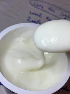 向全世界安利这个酸奶……太好吃了