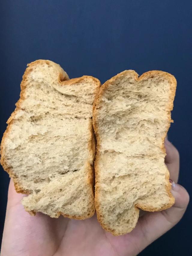 你以为它是碳水🍞 其实是蛋白质❗️