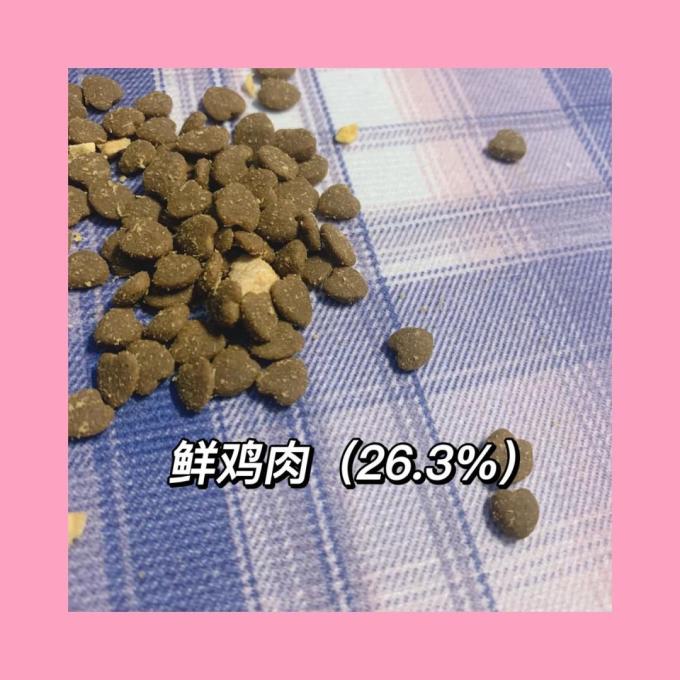 倔强嘴巴猫咪干粮