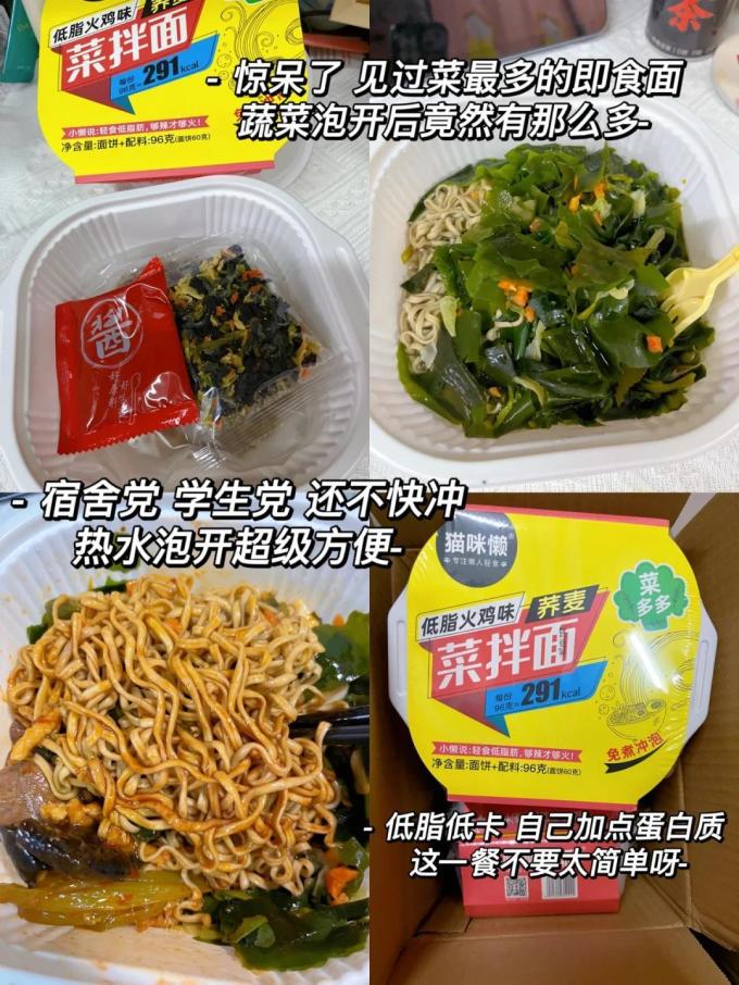 猫咪懒其他方便食品