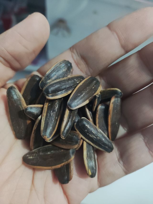 超好吃的沙土瓜子