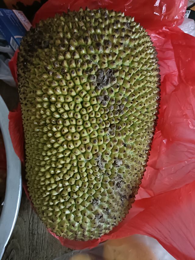 好吃的海南菠萝蜜