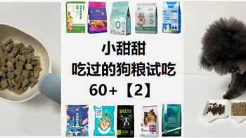 性价比高的狗粮推荐丨膨化粮、烘焙粮、湿粮怎么选？小甜甜吃过的狗粮60+【2】