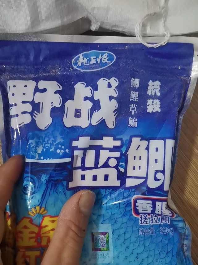 去到荒野水库边，做一个喂鱼人