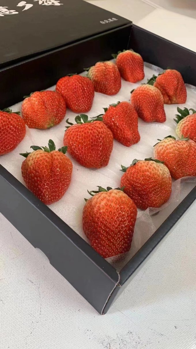 2023-02-10 09:06:1699草莓5斤新鲜水果当季整箱包邮黑金礼盒孕妇奶油