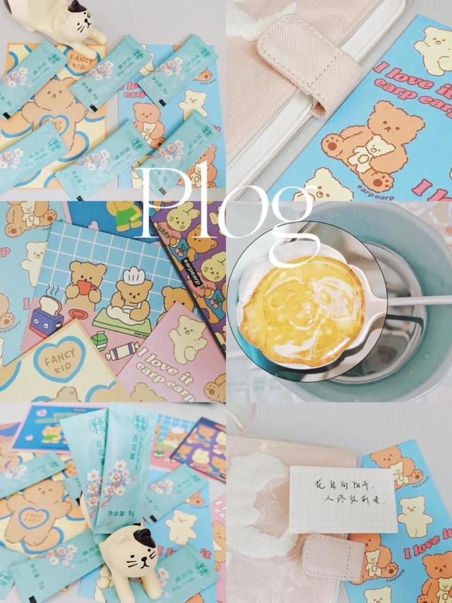 Plog|日系小清新调色|今天掉进“🐻窝”啦