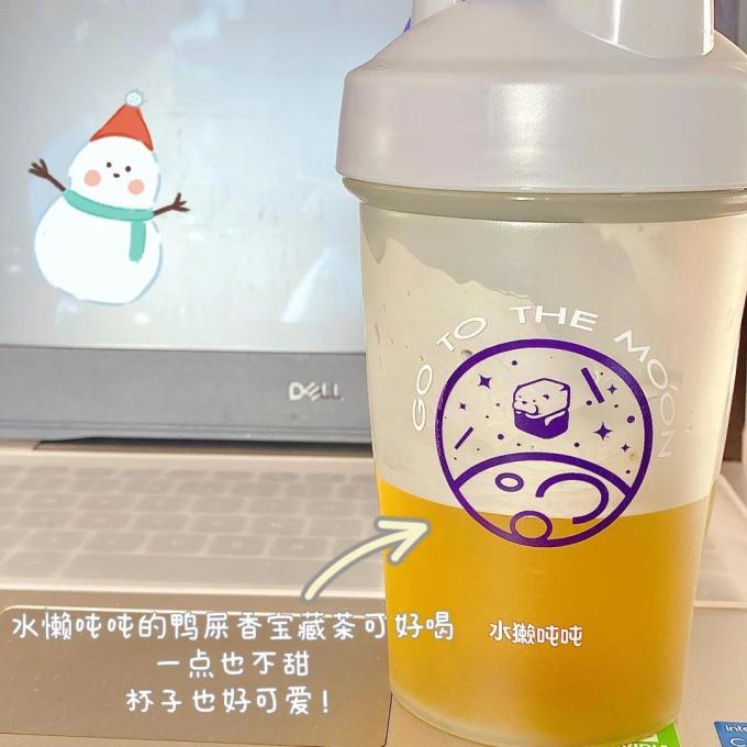 南卡普通台灯