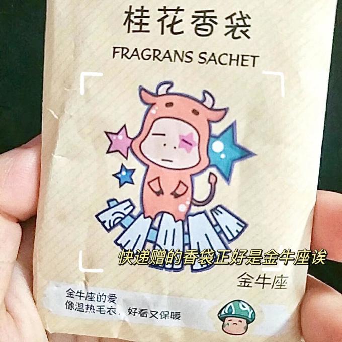 南卡普通台灯