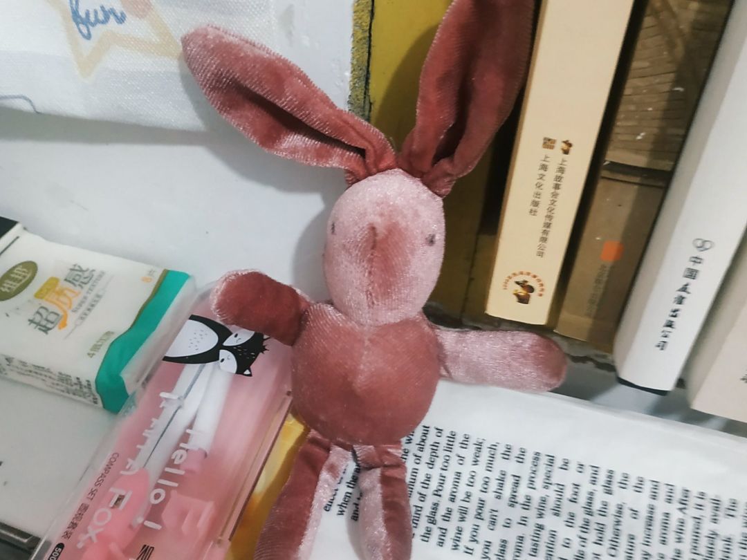 网红粉色许愿兔公仔小玩偶伴手礼娃娃礼盒丝