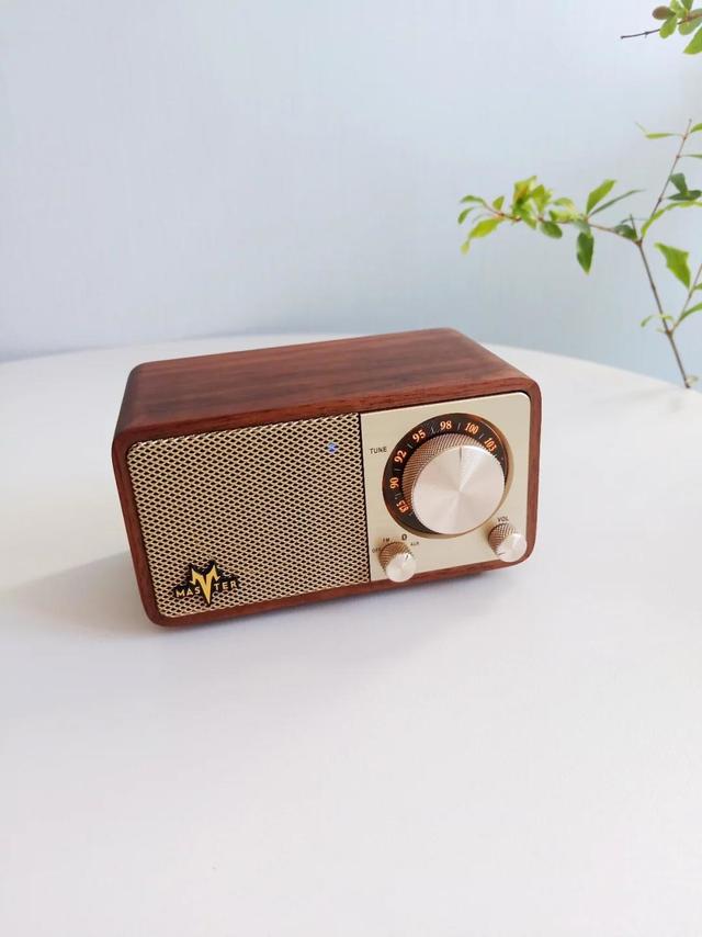 新年小众高级感好物～山进小音响