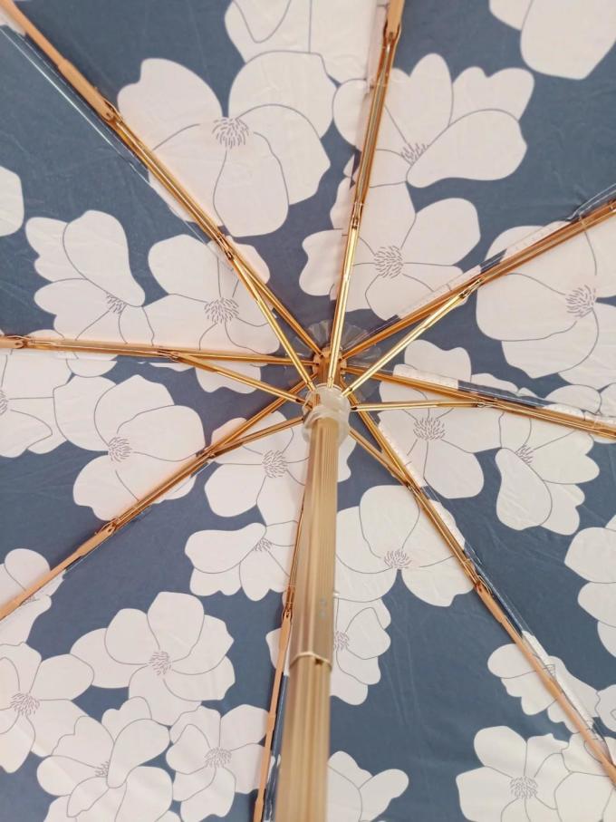 小时光雨伞雨具