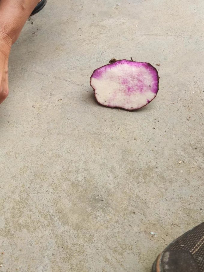源外蔬菜