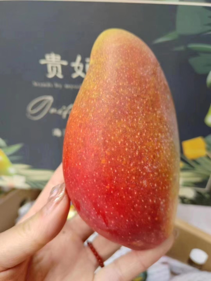 禾语鲜芒果