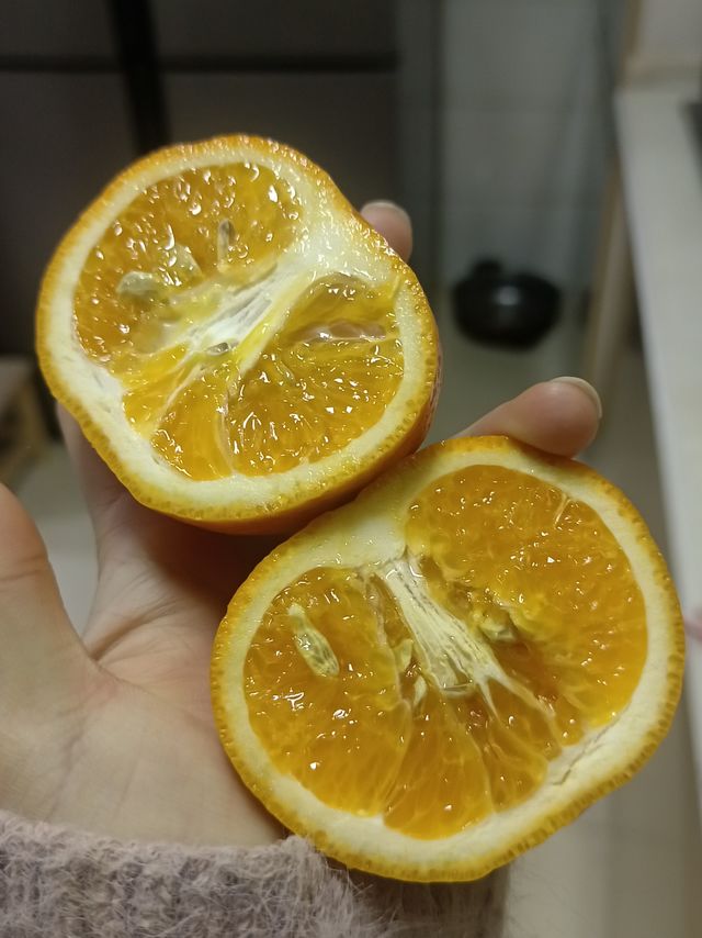 起床起床，一起吃橙子啦！！