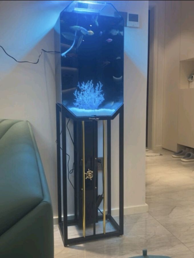 鱼缸