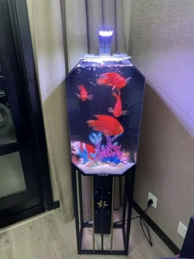 鱼缸