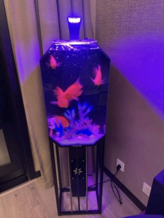 鱼缸