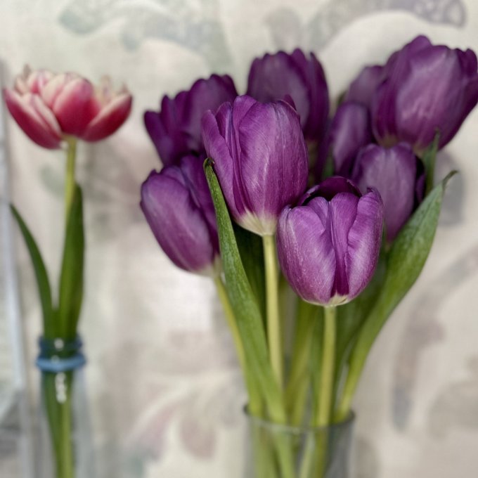 花加鲜花速递