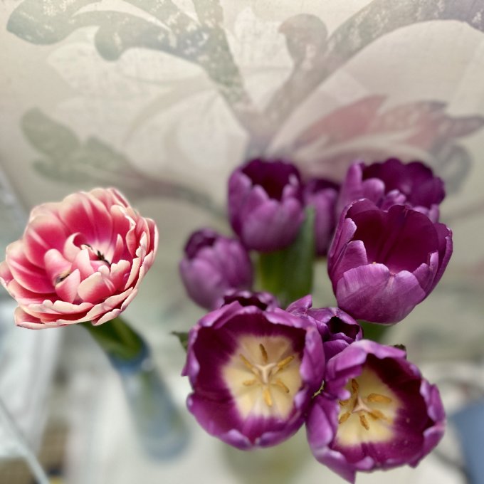 花加鲜花速递