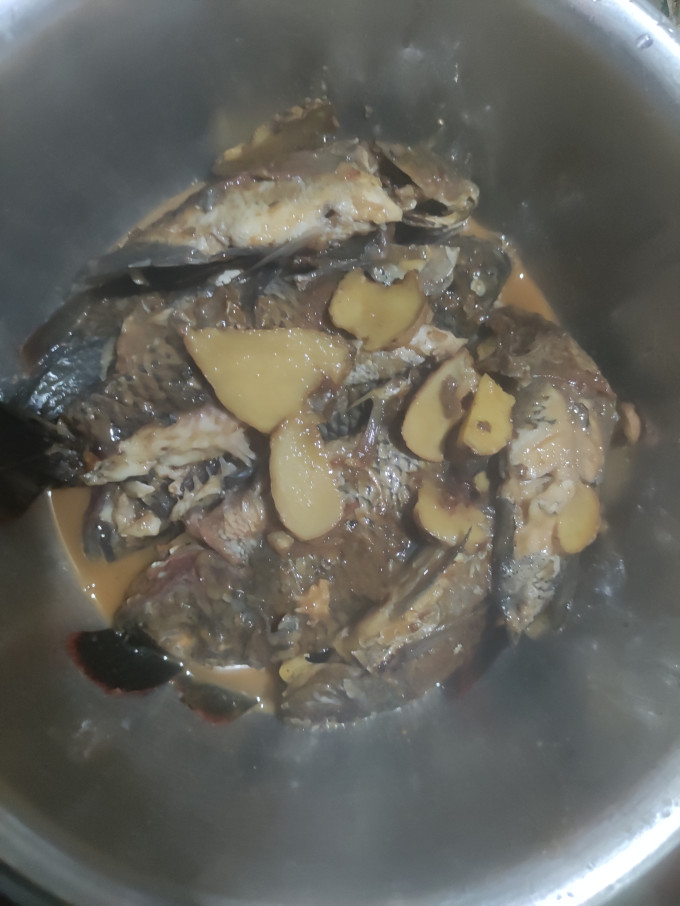 翔泰鱼类