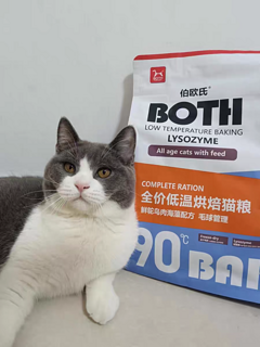 好吃的both猫粮