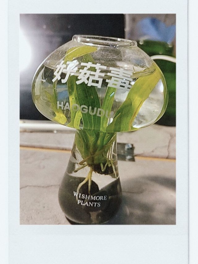 开学新姿势，养个好菇毒