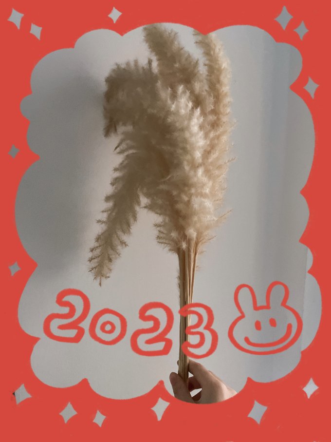 有逸干花仿真花卉