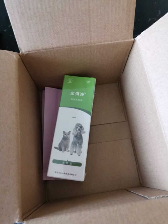 布尔宠物皮肤病预防