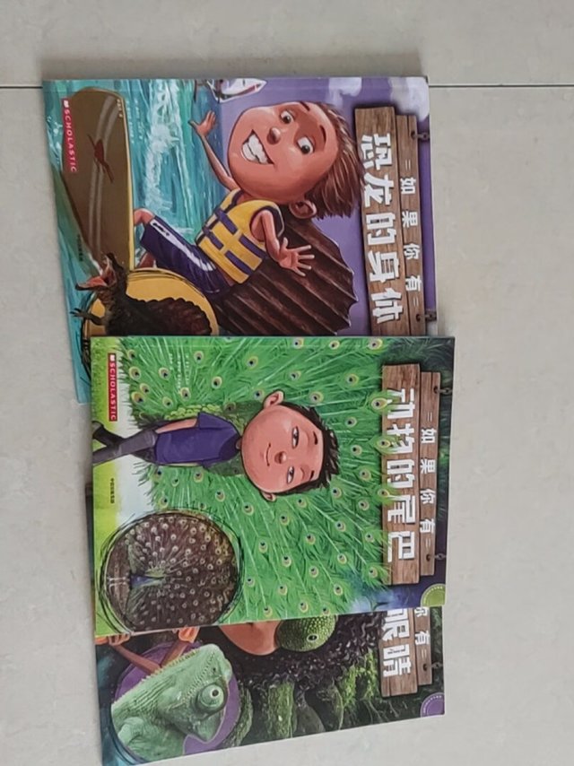 我们之前买了另外四本，这次又买了这几本同