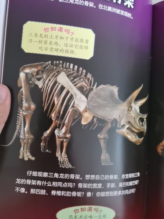 书不错，生动，还能让孩子涨知识，常见的，