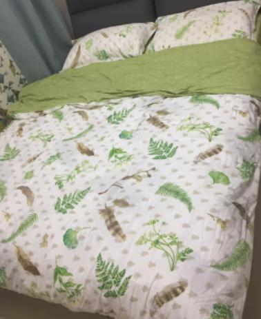 颜色清新，绿色生命的颜色