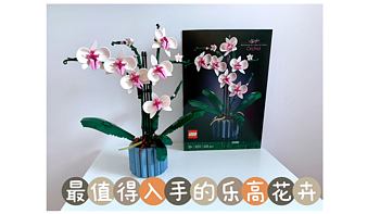 最值得入手的乐高花卉---Botanical Collection植物收藏系列 10311 兰花