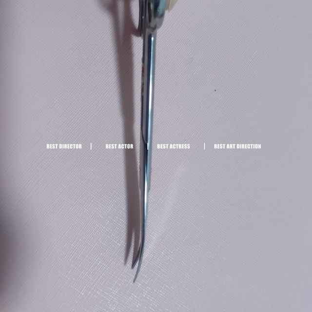 这个图做的好像海报。其实只是一把剪刀