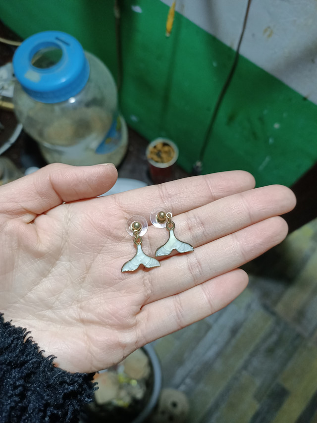 鱼尾耳饰真的超级好看啊