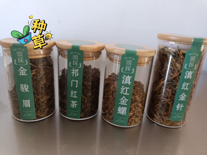 绿满堂红茶
