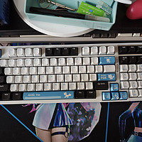 vgn机械键盘v98pro极地狐限定版