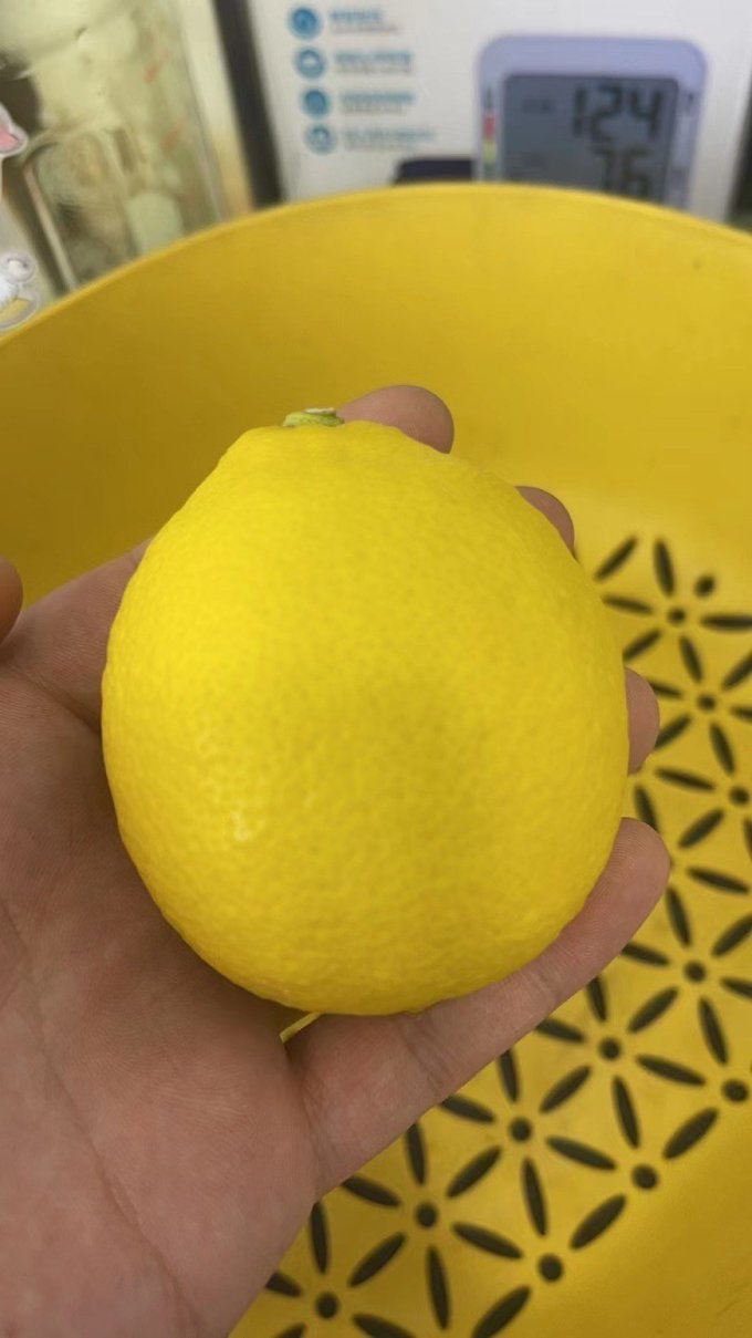 芬果时光其他水果
