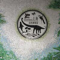 情人节怎么过？手拉手去逛上海自然博物馆