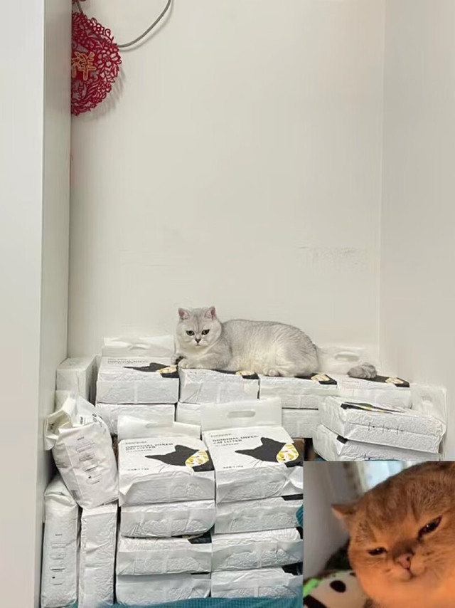 除臭效果：淡淡的奶香味，很好的掩盖掉那猫