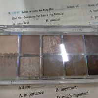 ROTO自然持久十色眼影盘