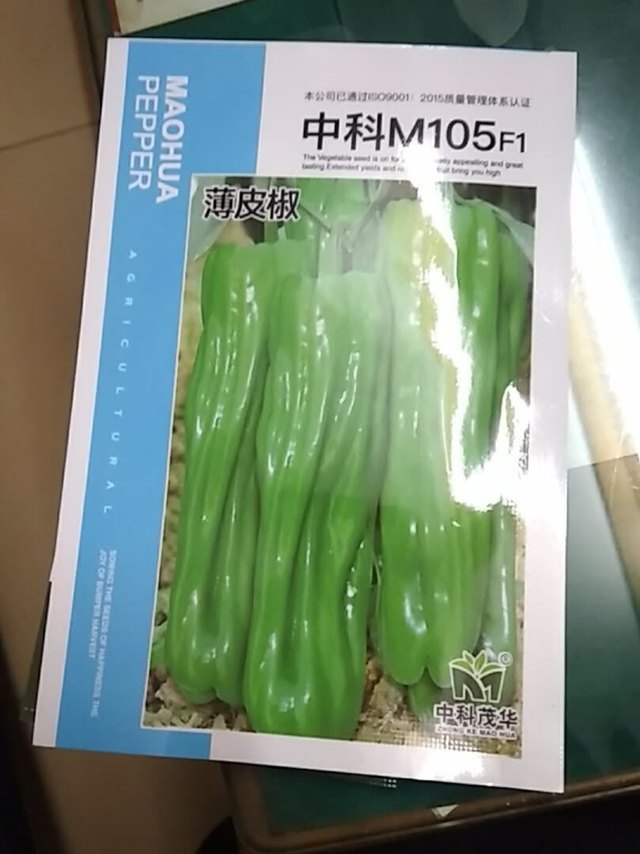 商家还送了赠品荷兰小黄瓜种子很