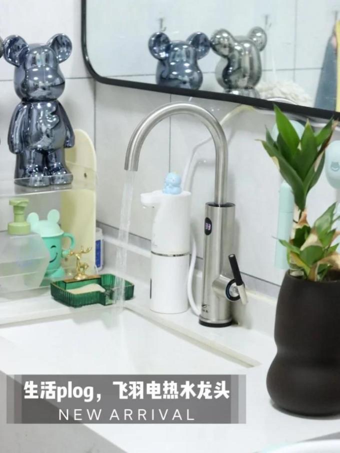 飞羽龙头