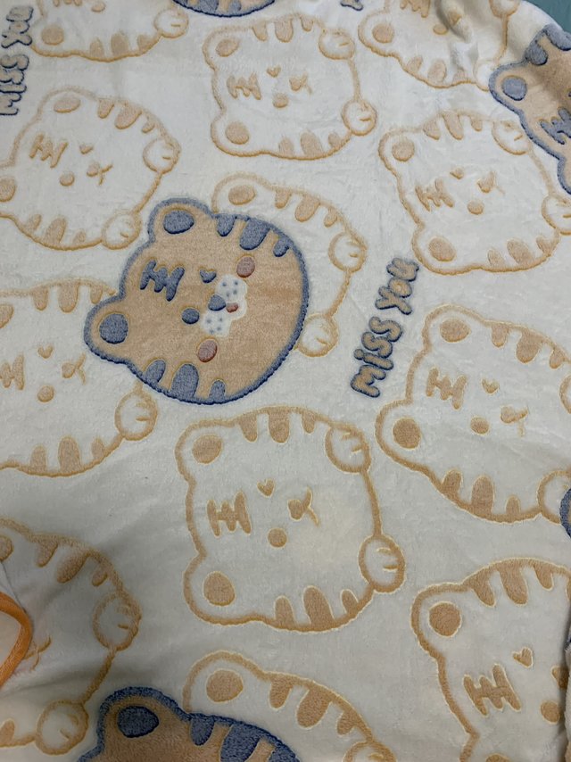 心心念念的毛毯到了