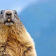 整理了一下近期值得买上Marmot的爆料，希望对购买有帮助（一）